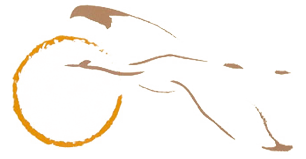 Vogel vor Sonne